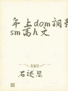 年上dom调教sm高h文