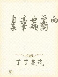 月亮也曾向他而来笔趣阁