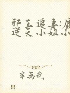 邪王追妻:废材逆天小姐小说