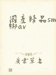 国产精品sm捆绑av