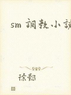 sm 调教小说