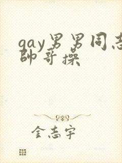 gay男男同志帅哥操