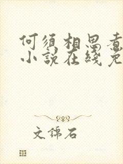 何须相思煮余年小说在线免费阅读封面