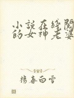 小说在线阅读我的女神老婆