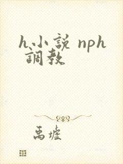 h小说 nph 调教