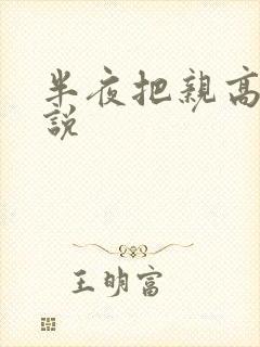 半夜把亲高潮小说