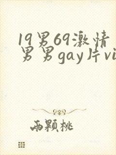 19男69激情男男gay片vid封面