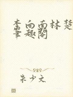 李向南林楚乔新笔趣阁