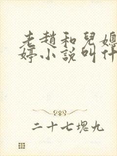老赵和儿媳妇陈婷小说叫什么名字呢