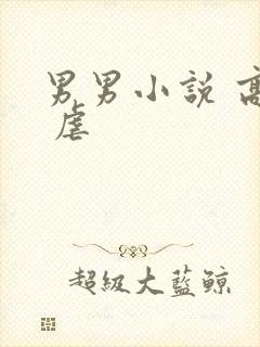 男男小说 高h 虐