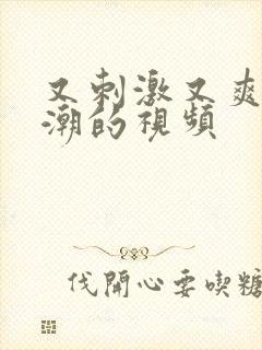 又刺激又爽又高潮的视频