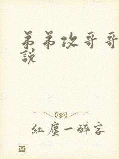 弟弟攻哥哥受小说