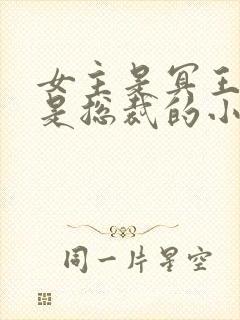 女主是冥王男主是总裁的小说