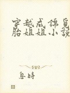 穿越成锦觅双胞胎姐姐小说封面