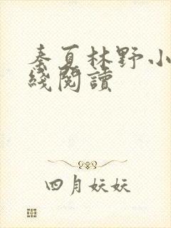 秦夏林野小说在线阅读
