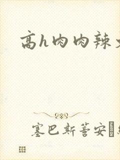 高h肉肉辣文