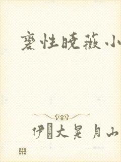变性晓薇小说封面