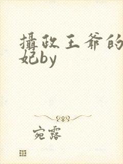 摄政王爷的小男妃by
