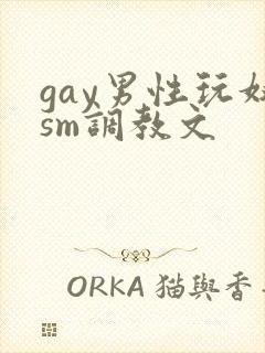 gay男性玩奴sm调教文