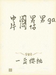 中国男男gay片网站