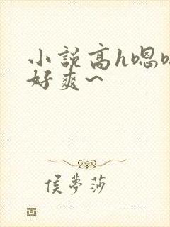 小说高h嗯嗯~好爽~