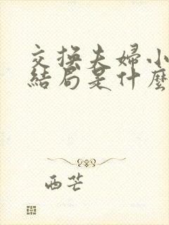 交换夫妇小说大结局是什么封面