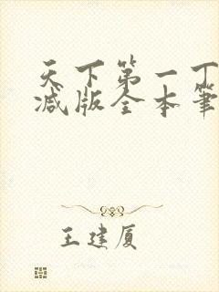 天下第一丁无删减版全本笔趣阁