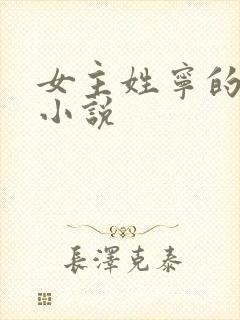 女主姓宁的现代小说