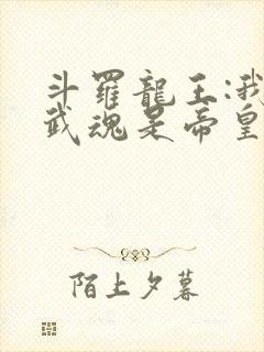 斗罗龙王:我的武魂是帝皇铠甲免费阅读