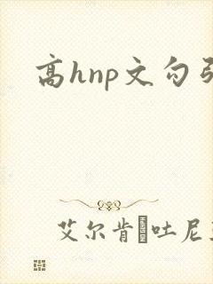 高hnp文勾引