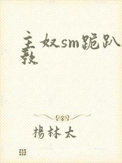 主奴sm跪趴调教