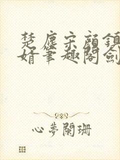 楚尘宋颜镇国神婿笔趣阁剑来封面