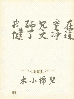 我师兄实在太稳健了文净道人结局封面
