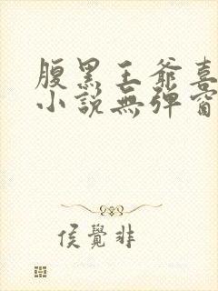 腹黑王爷喜当爹小说无弹窗