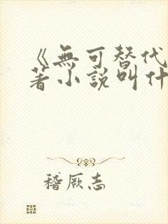 《无可替代》原著小说叫什么