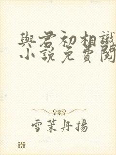 与君初相识原著小说免费阅读封面