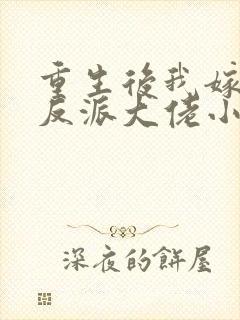 重生后我嫁给了反派大佬小说免费阅读