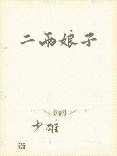 二两娘子封面