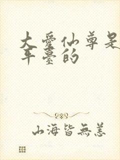 大爱仙尊是哪个平台的
