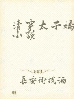 清穿太子娇妃的小说封面