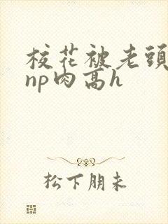 校花被老头强迫np肉高h