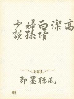 少妇白洁高义小说孙倩