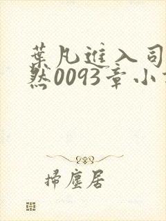 叶凡进入司徒嫣然0093章小说