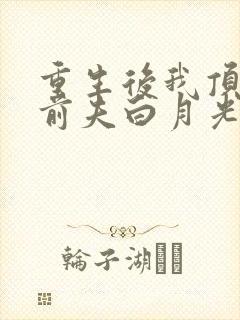 重生后我顶替了前夫白月光全封面