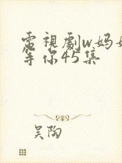 电视剧w妈妈在等你45集