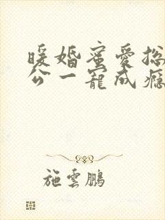 暖婚蜜爱总裁老公一宠成瘾