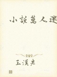 小说万人迷h
