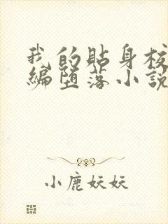 我的贴身校花改编堕落小说封面