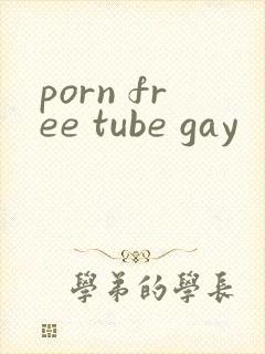 porn free tube gay