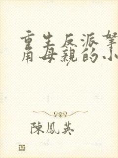 重生反派拿下主角母亲的小说